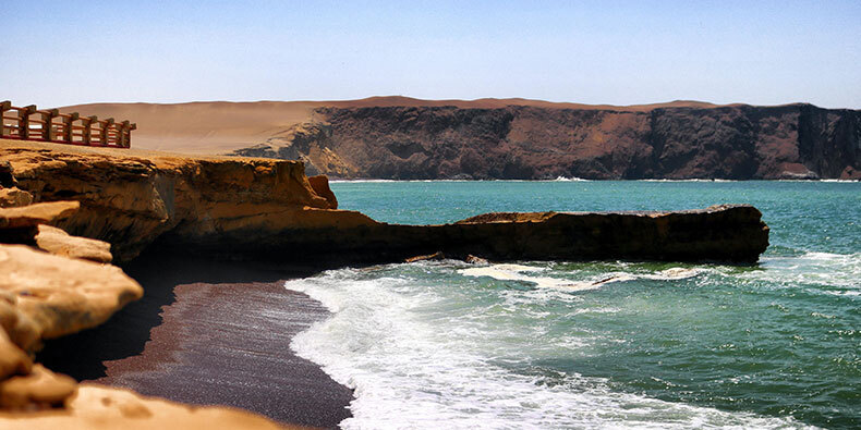 paracas national reserve peru