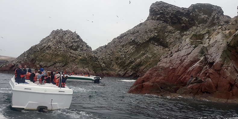 Ballestas Islands boat tour