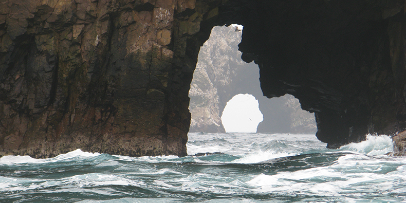 ballestas islands peru