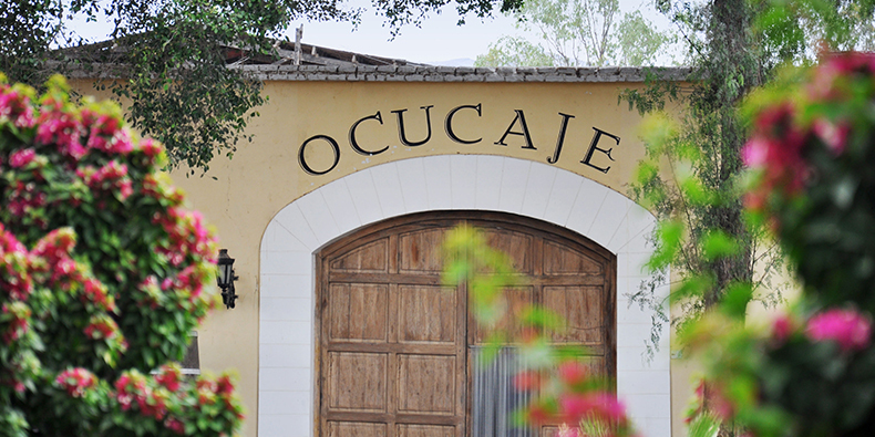 bodega ocucaje ica