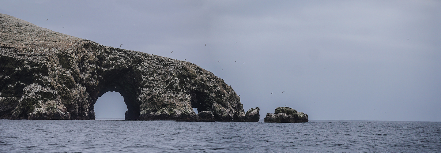 paracas boat tours