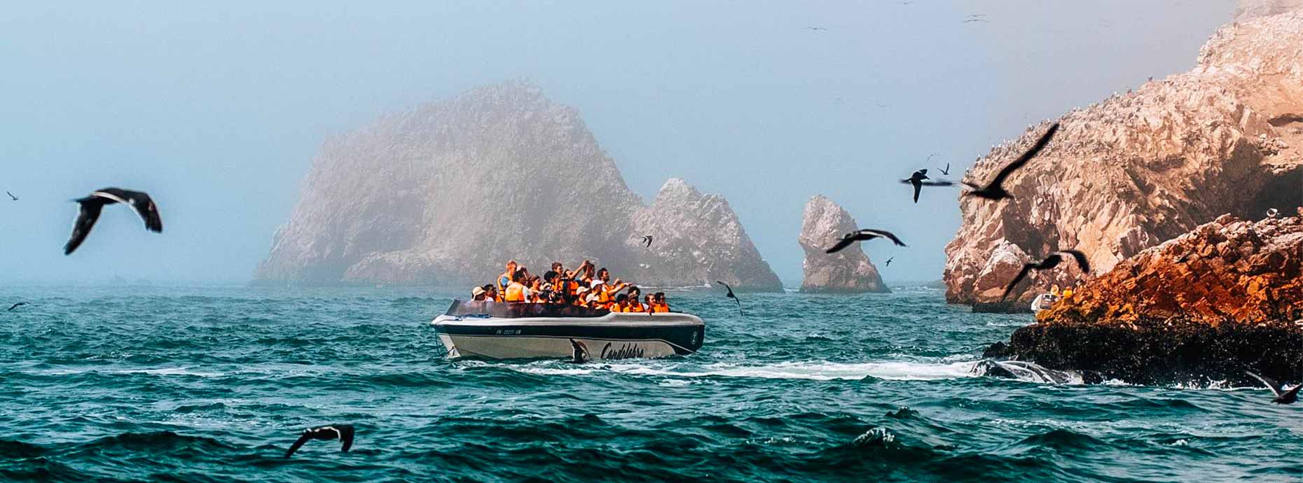 ballestas islands tour from paracas